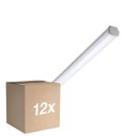 Multipack 12x Philips Pantalla LED Estanca WT060C 20W 2500lm - 840 Blanco Frio | 120cm