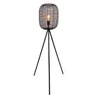Eglo Lámpara de pie Rinroe Acero Negro | Apta para E27