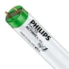 Philips MASTER TL-D Actinic BL 18W - Ultravioleta | 60cm
